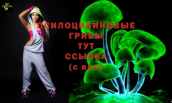 мдпв Алзамай