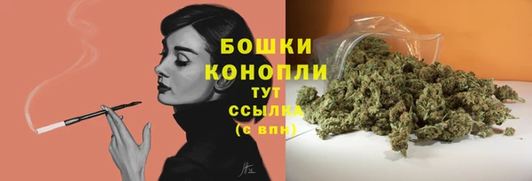 кокс Осташков