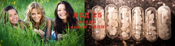кокс Осташков