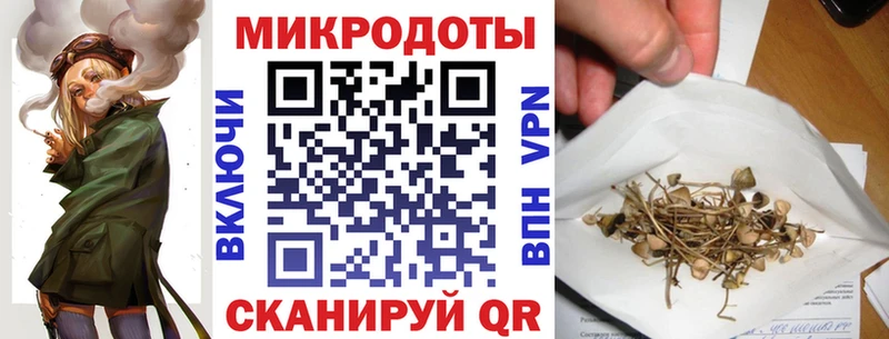 наркота  Вихоревка  Галлюциногенные грибы Psilocybe 