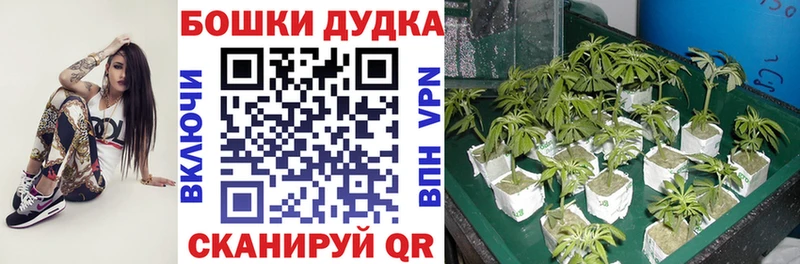 Марихуана AK-47  Вихоревка 